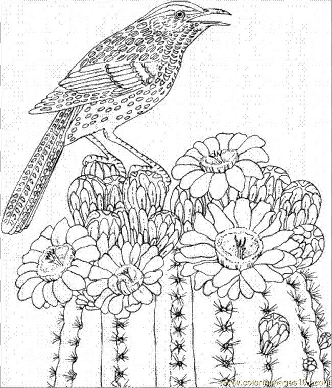 colouring pages of cactus - Clip Art Library