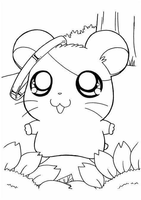 cute hamster coloring pages - - Image Search Results | Coloring pages, Cute  coloring pages, Animal coloring pages