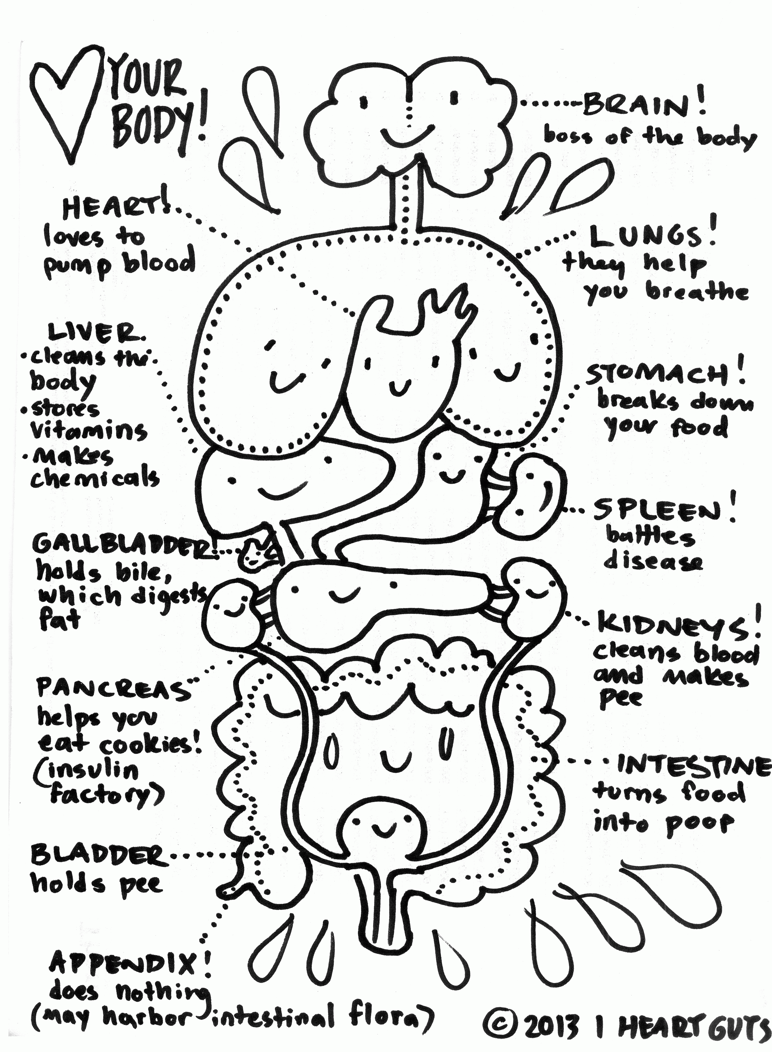 Anatomy Coloring Page – I Heart Guts