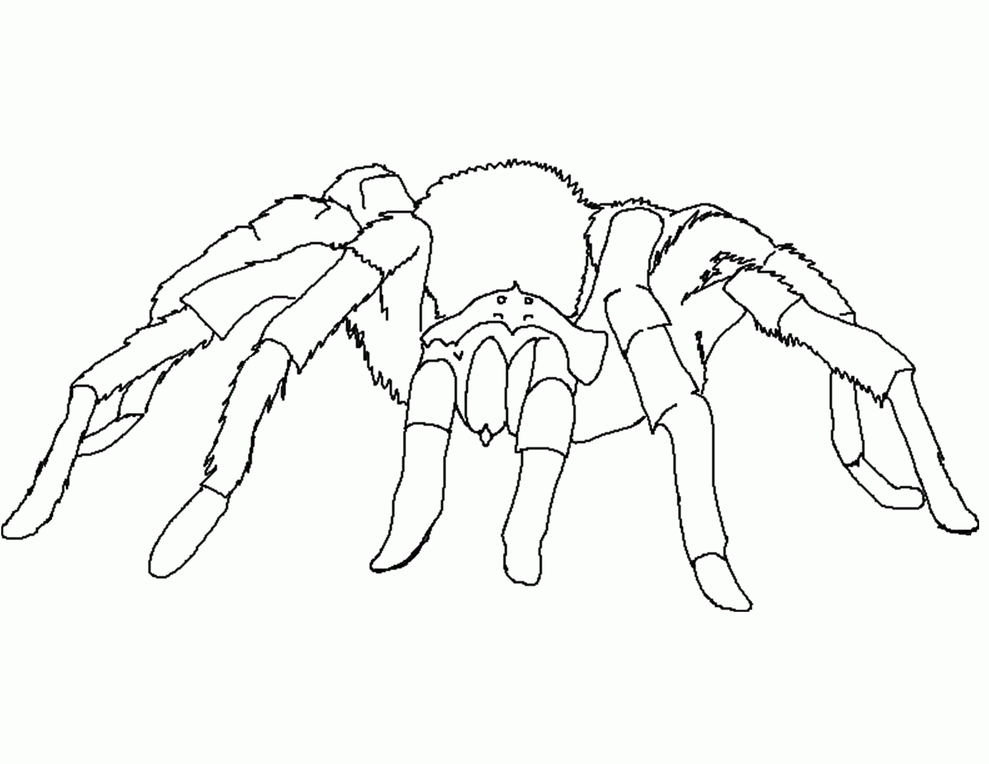 Black Widow Spider Coloring Page - HiColoringPages