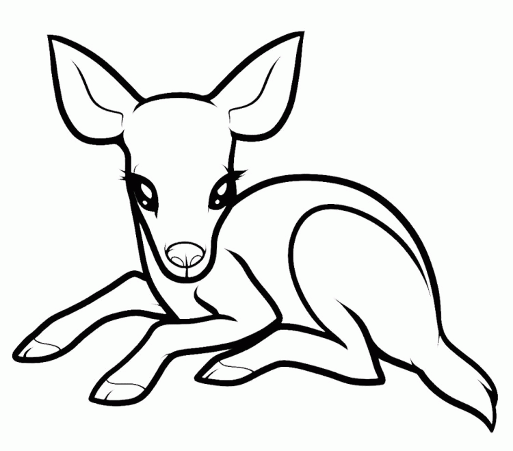 Free Baby Deer Coloring Page, Download Free Clip Art, Free Clip Art on  Clipart Library