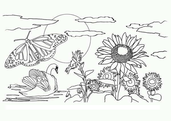 Beautiful Nature Coloring Pages at GetDrawings | Free download