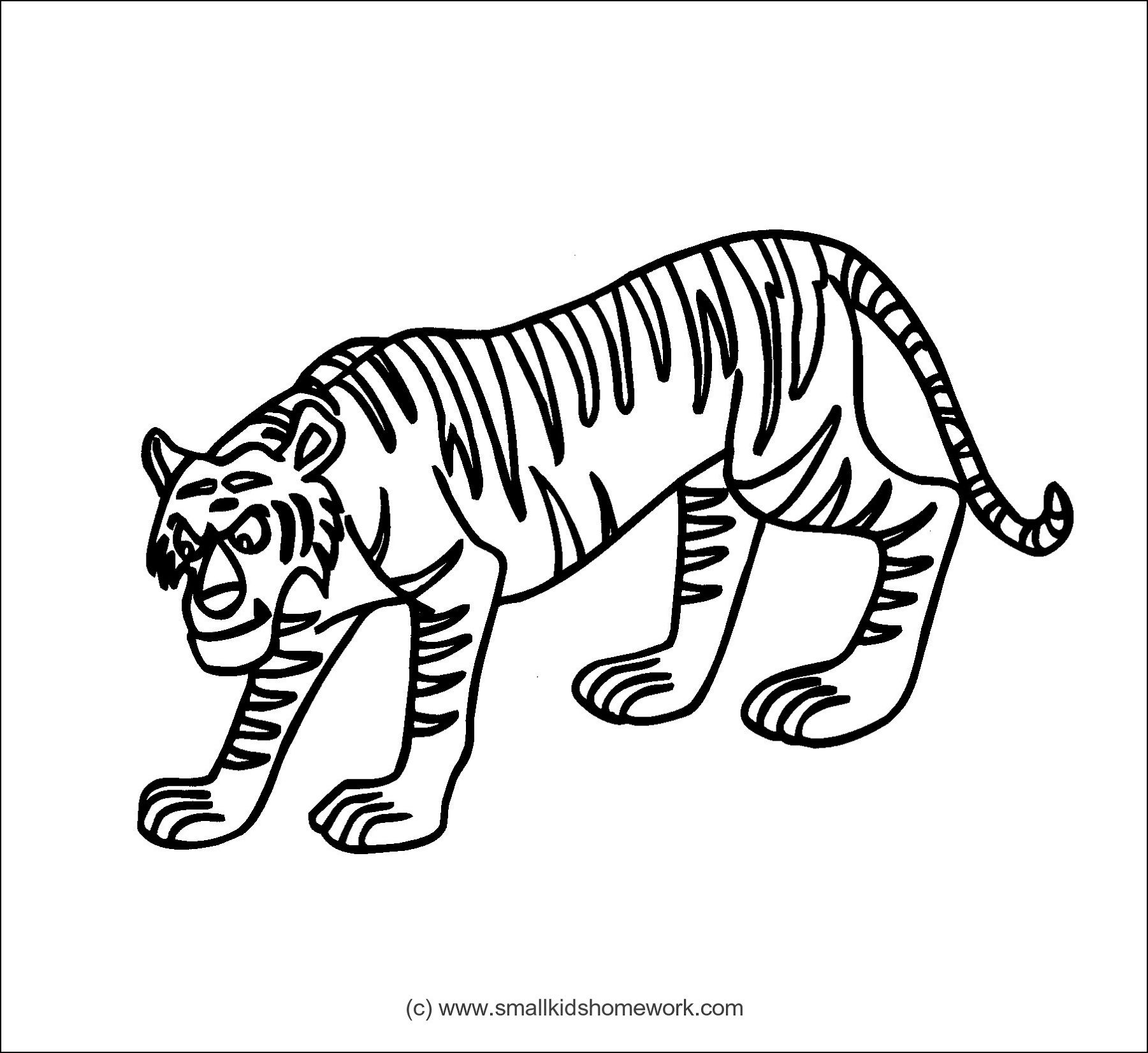 Tiger Outline - Coloring Home