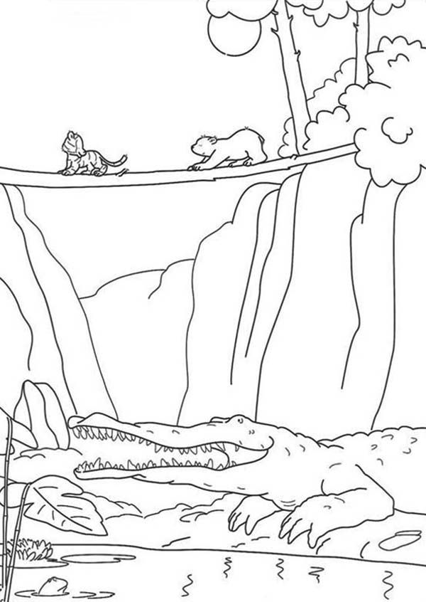 Lars the Little Polar Bear Walking on a Tree Bridge Coloring Pages ...