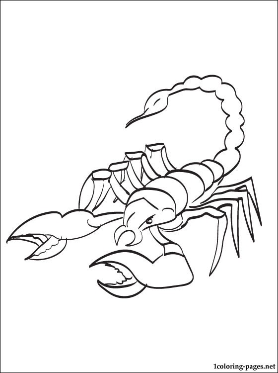 Scorpion coloring page to print out | Coloring pages