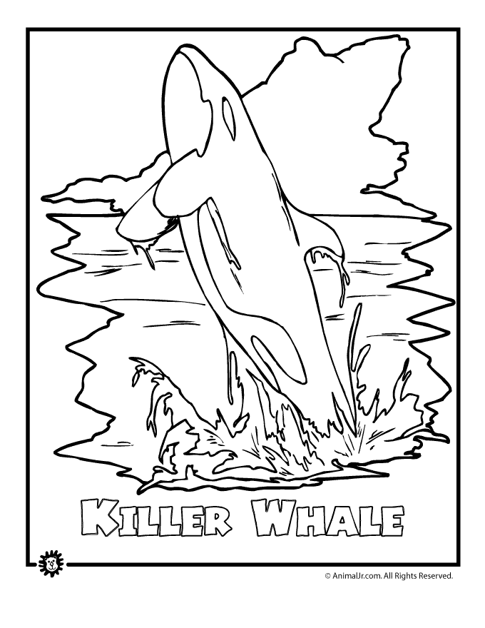 30 Humpback Whale Coloring Pages - Free Printable Coloring Pages