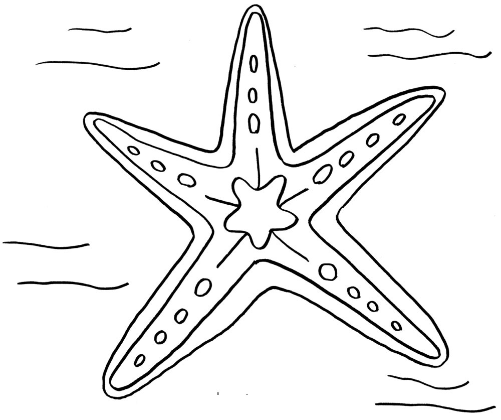 Starfish at the bottom of the sea coloring book to print and online
