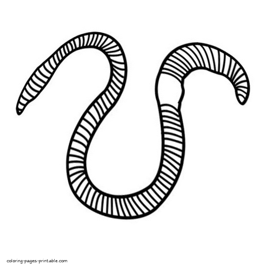 worm-coloring-pages-1.GIF