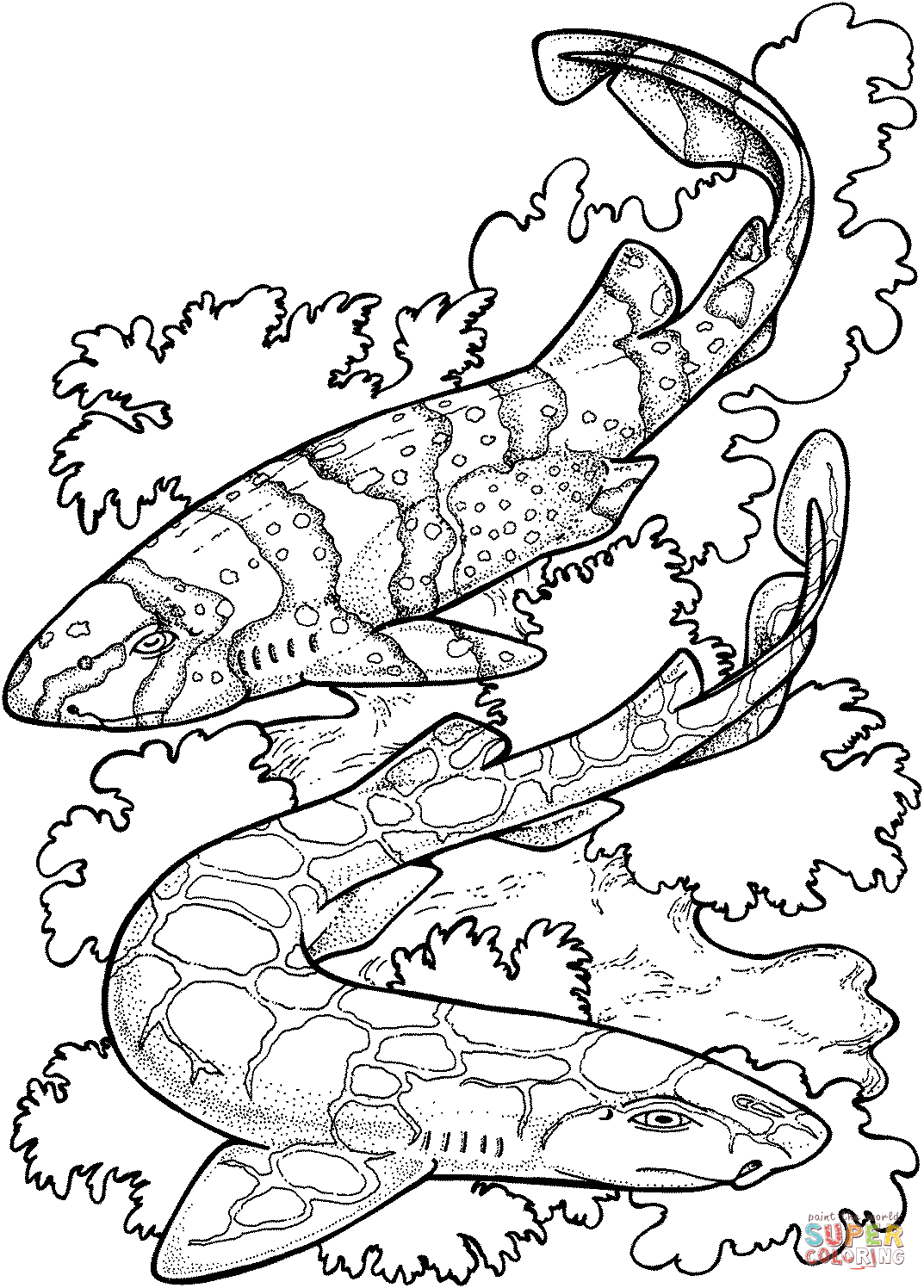 Zebra Shark Coloring Pages