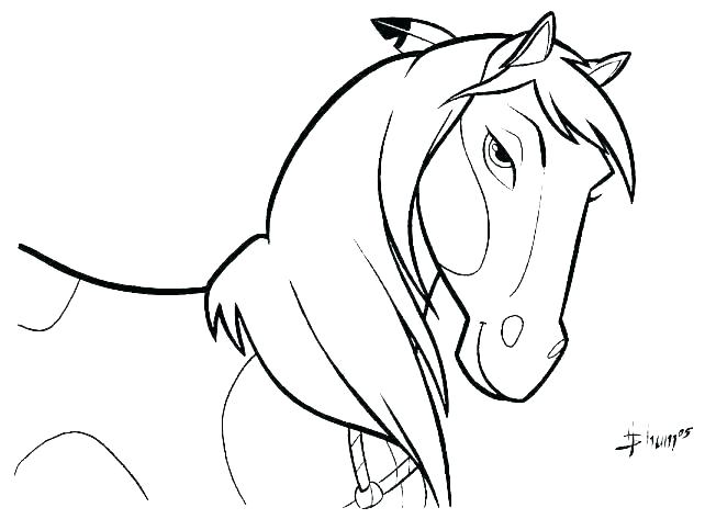 coloring pictures of horses – vimefulland.co