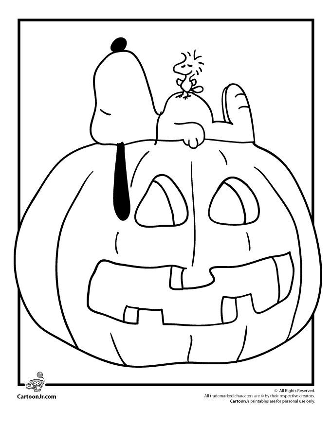 1000+ ideas about Halloween Jack O Lantern ...