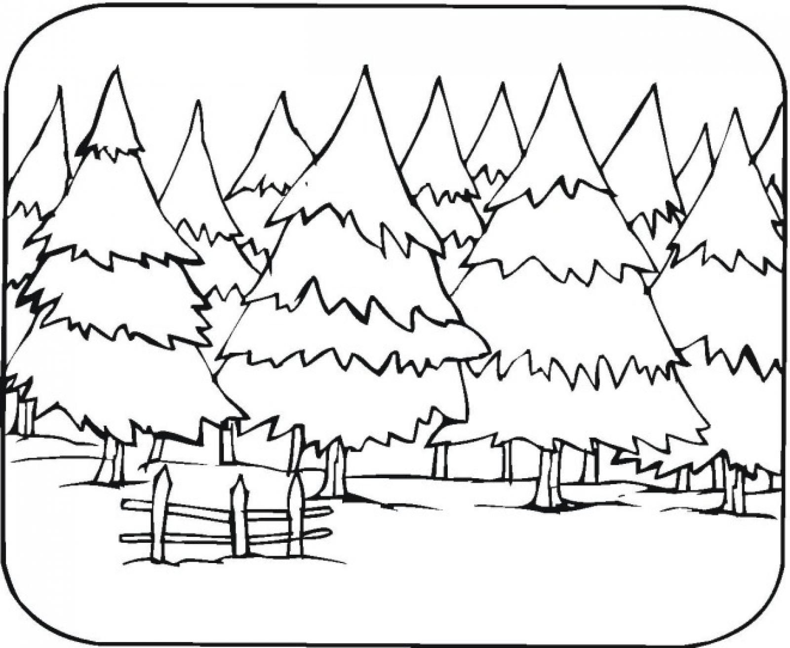 Enchanted Forest Coloring Pages Deciduous Forest Animals Coloring ...