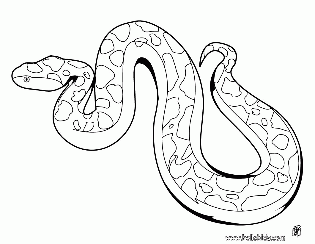 SNAKE coloring pages - Snake