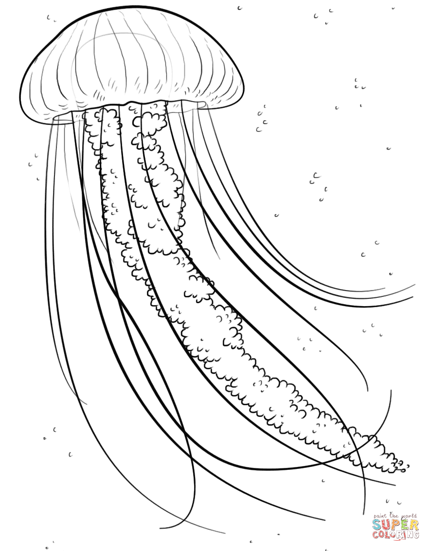 Jellyfish coloring pages | Free Coloring Pages