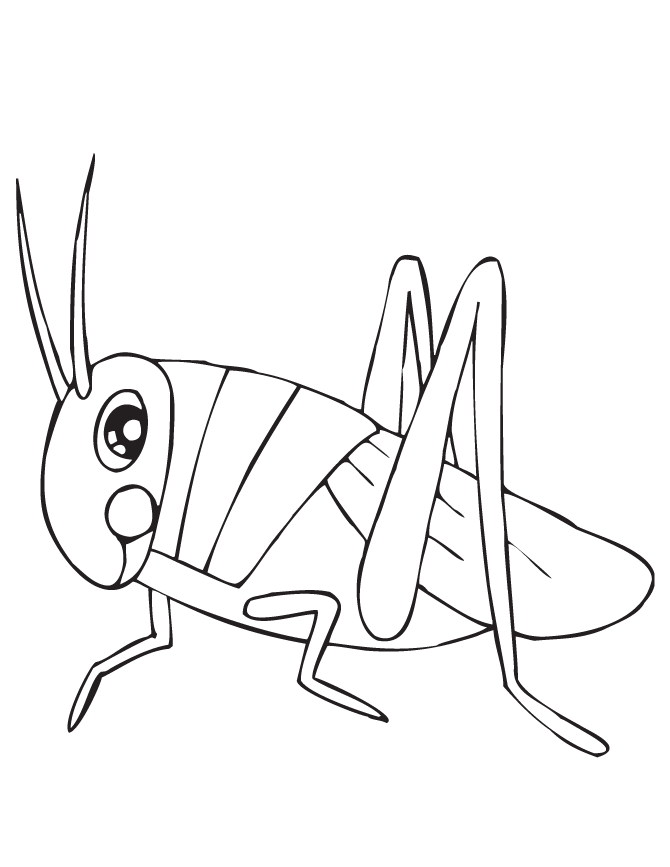 Grasshopper Coloring Pages Images & Pictures - Becuo