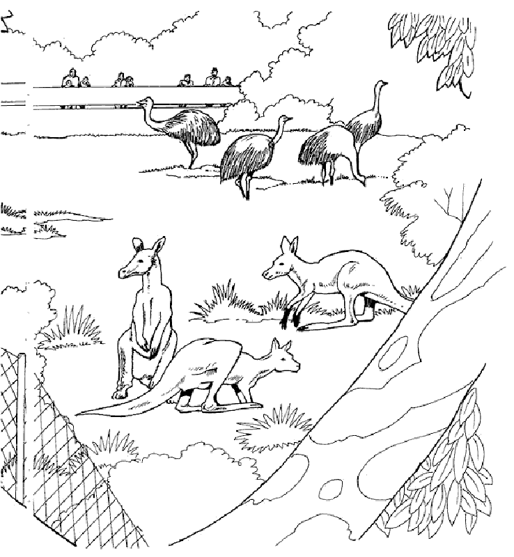 Zoo Animal Coloring Pages 12 | Free Printable Coloring Pages 
