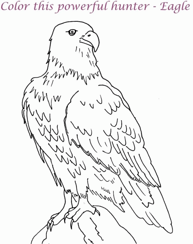 Printable Coloring Pages Eagle Coloring Pages Coloring Pages For 