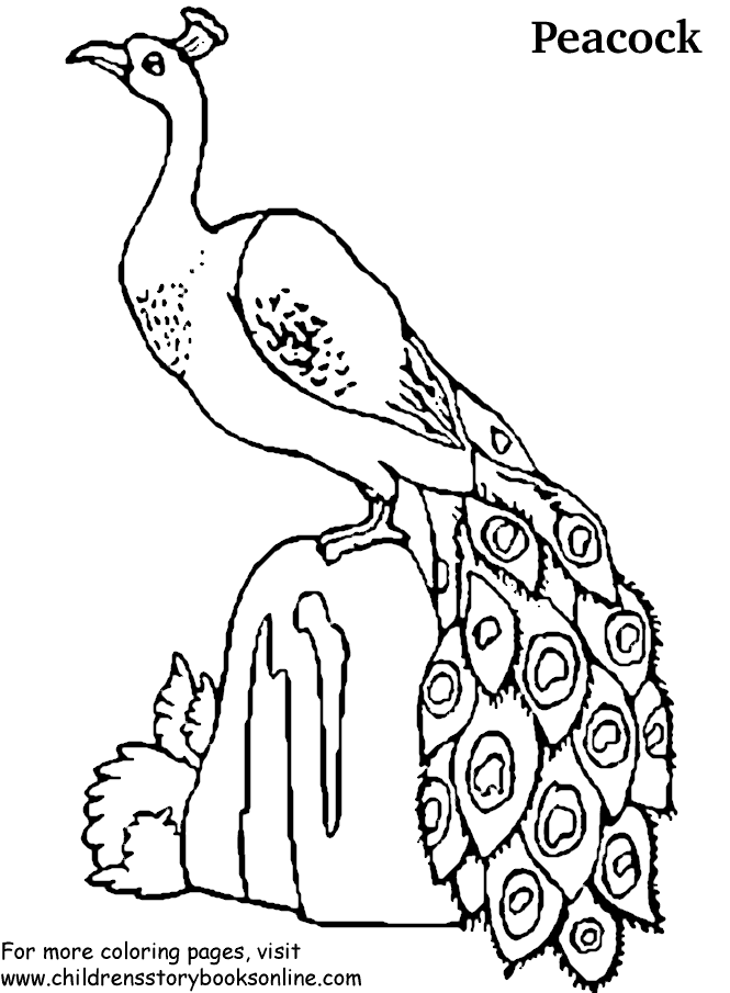 Printable Picture For Kids. Free Coloring Page - Coloring Home