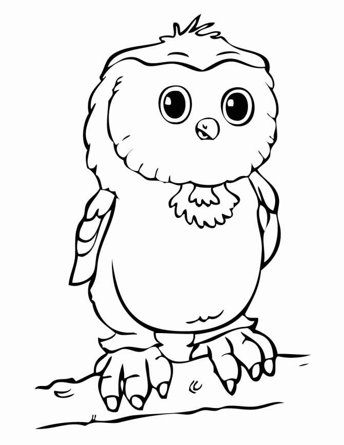Baby Owl Coloring Pages - KidsColoringSource.