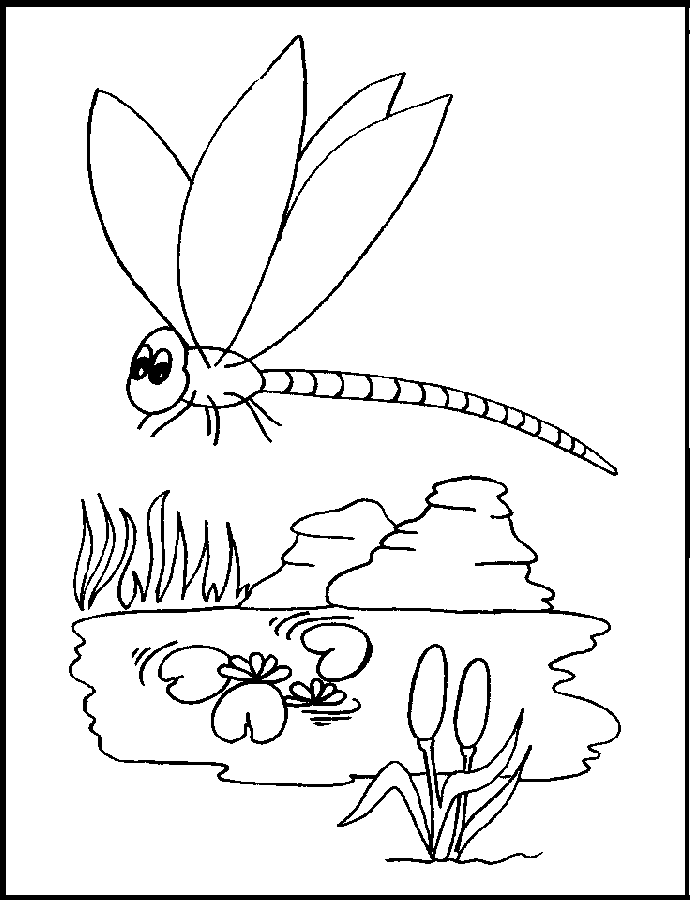 Dragonfly Coloring Pages Photos | Extra Coloring Page