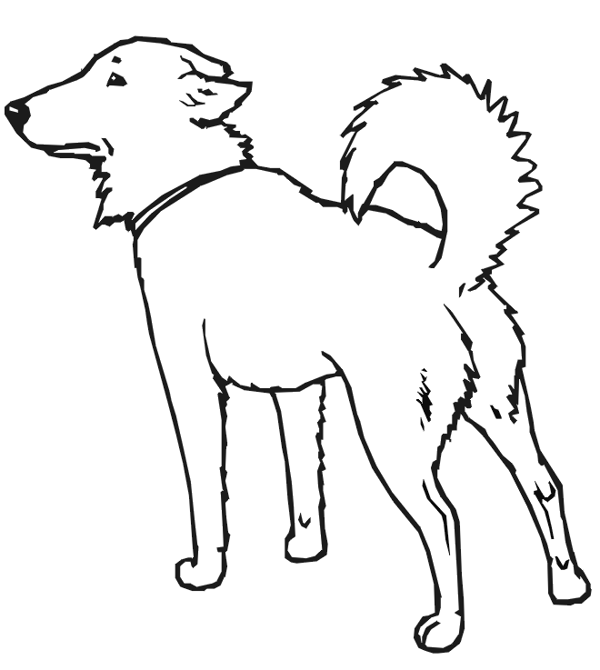 dog coloring pages that look real | Coloring Pages For Kids