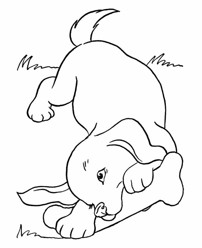 Small Puppy With Huge Bone Coloring Page | Kids Coloring Page