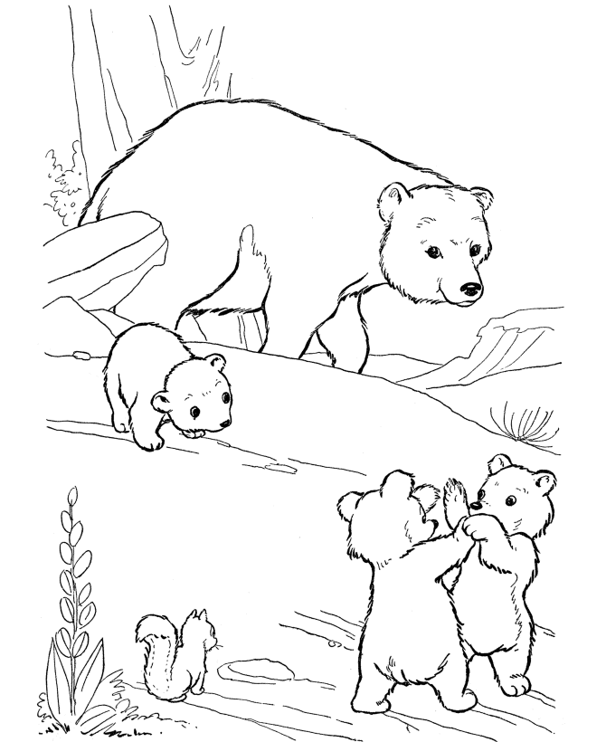Polar Bear Coloring Pages For Kids | COLORING WS