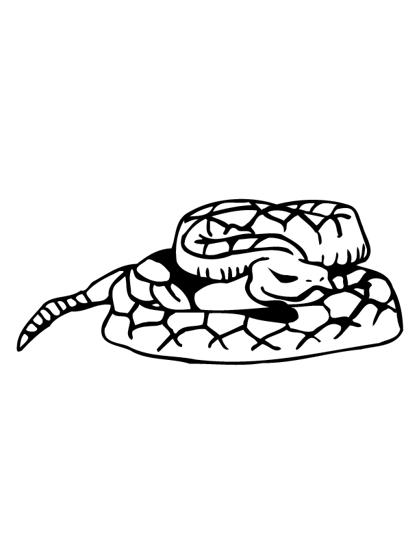 rattle snake Colouring Pages (page 3)