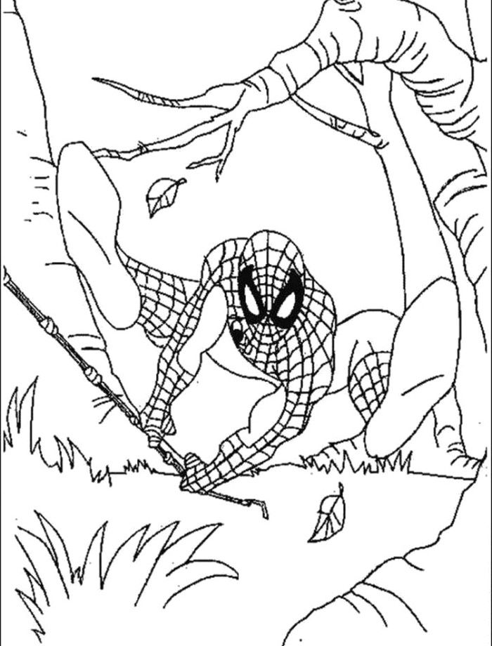 Jungle Spiderman Coloring Pages - Spiderman Cartoon Coloring Pages 