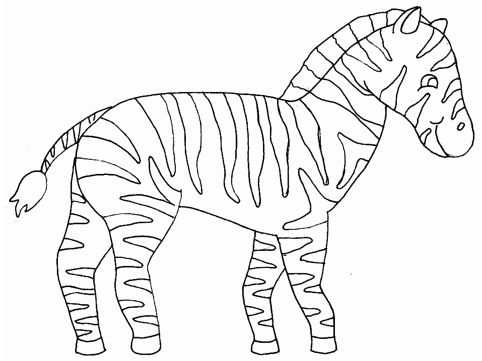 zebra outline Colouring Pages