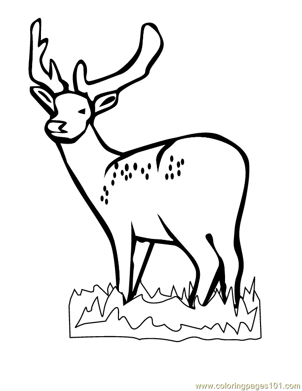 Deer Hunting Coloring Pages - Coloring Home