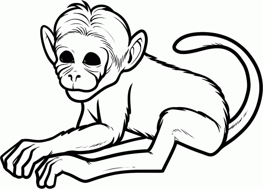 Baby Monkey Coloring Pages - Coloring Home