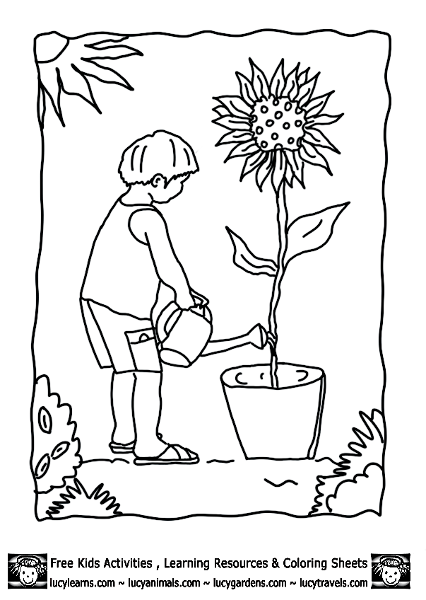 Vegetable Coloring Pages Potato,Lucy Vegetable Coloring Pages 