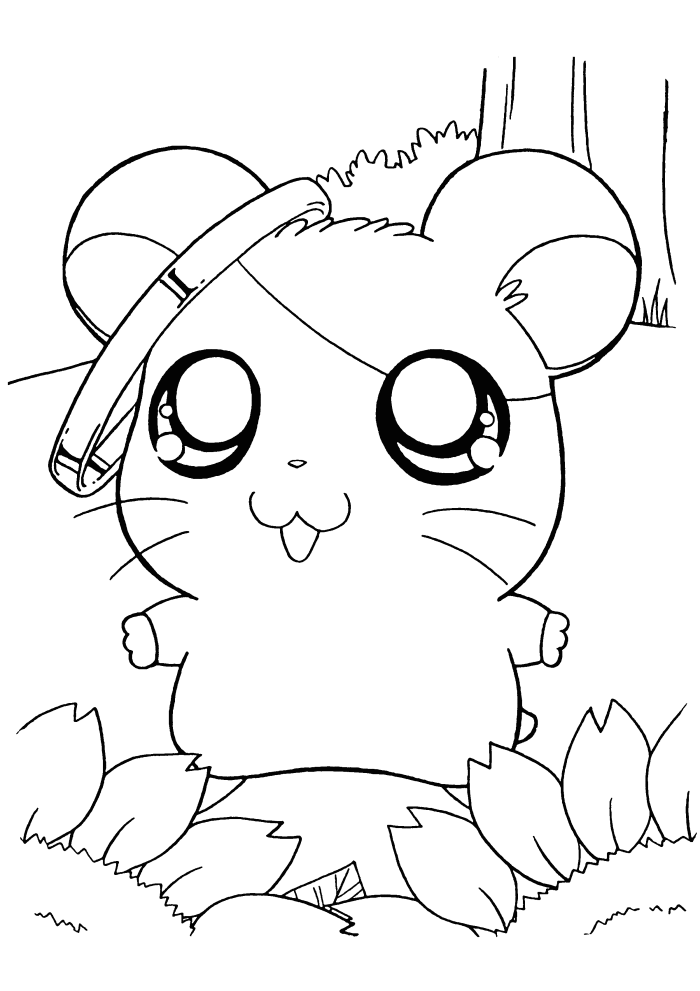 Cleaning Howdy Hamtaro Coloring Page - Cartoon Coloring Pages on 
