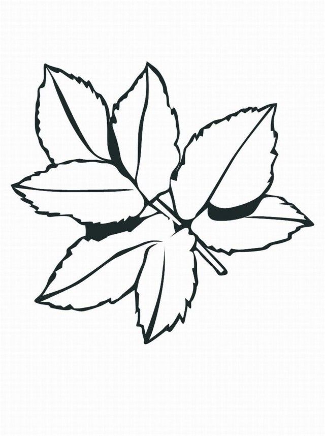 Fall Leaves Coloring Pages Free Coloringz 262003 Fall Leaves 