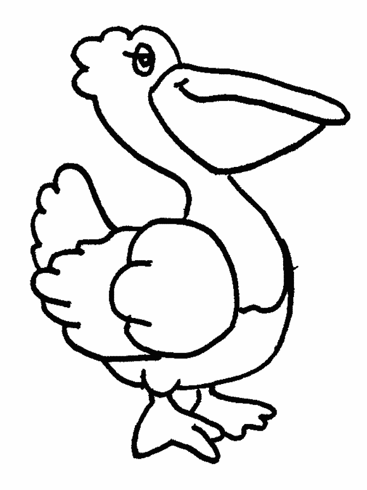 Pelican coloring page - Animals Town - animals color sheet 