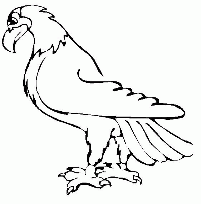 Eagle Coloring Pages For Kids - HD Printable Coloring Pages