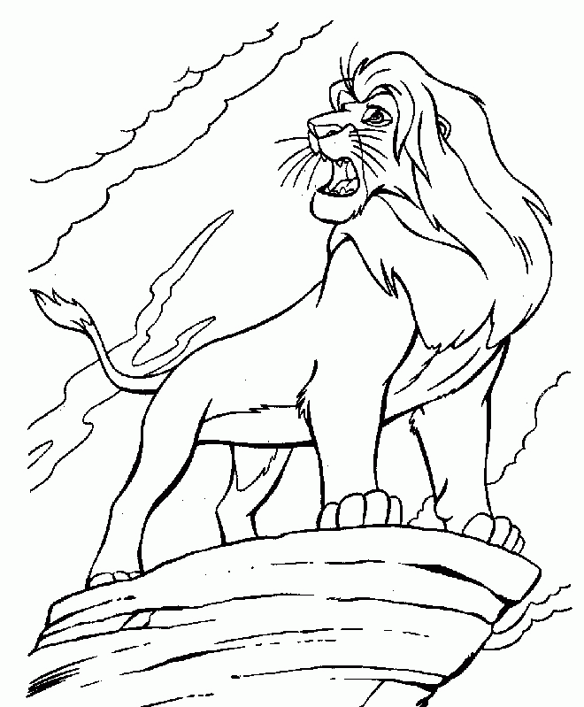 Africa Safari Lion Coloring Page Lion Safari | Cartoon Coloring Pages