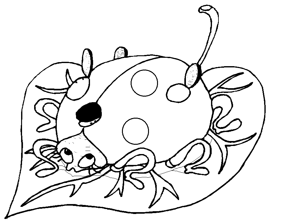 Printable Ladybugs 10 Animals Coloring Pages - Coloringpagebook.com