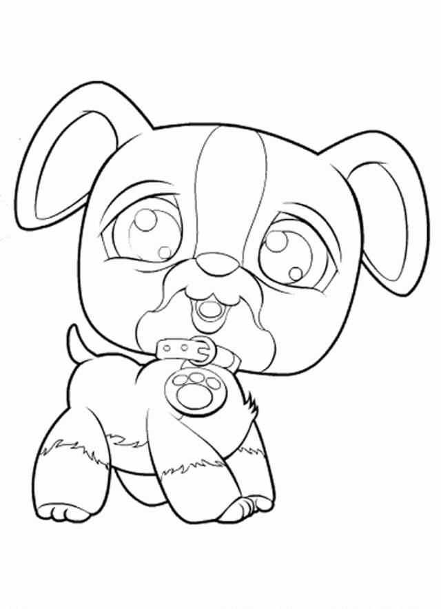 Raccoon Coloring Pages Printable Id 37572 Uncategorized Yoand 