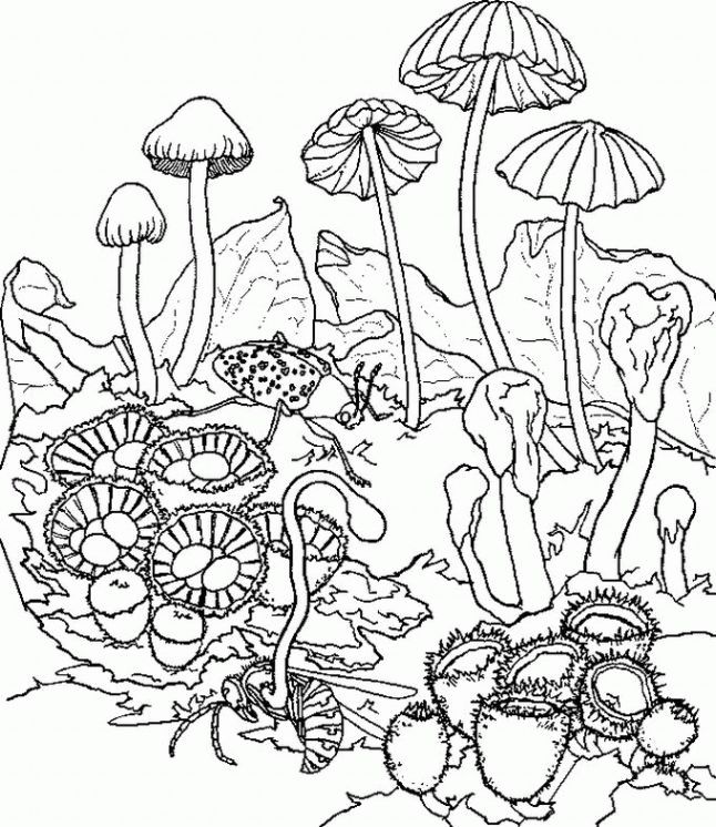 Trippy Printable Coloring Pages - Coloring Home