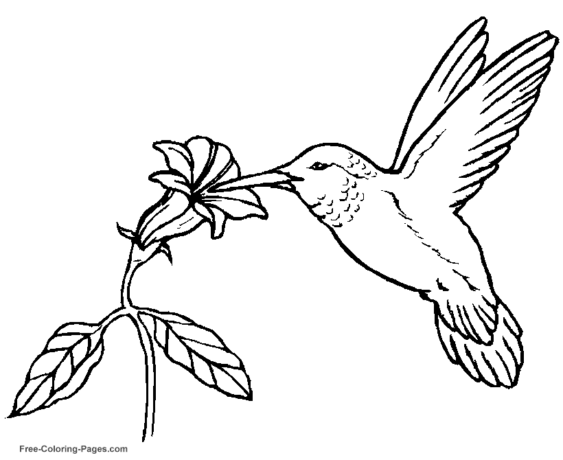 Free-Coloring-Pages.com