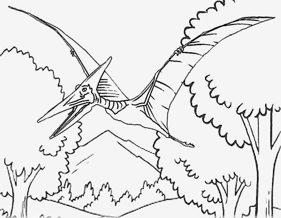 Pteranodon Coloring Pages - Coloring Home