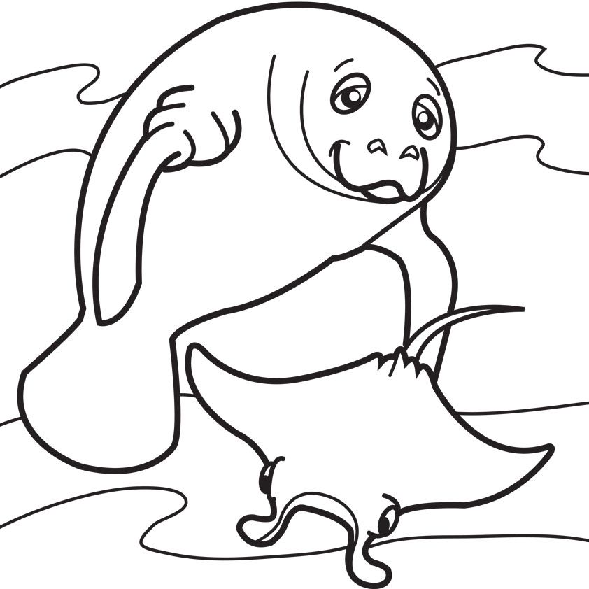 Manatee Coloring Page Illustration Black And White