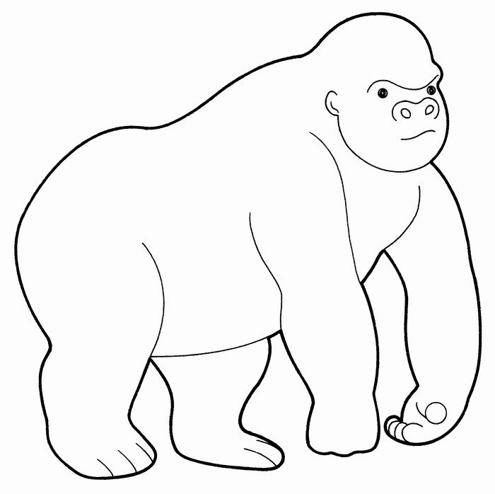 Easy Gorilla Drawings Images & Pictures - Becuo