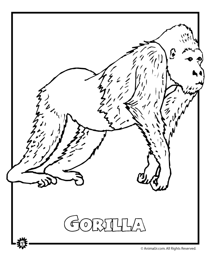 Animal Coloring Pages For Kids Printable - Coloring Home