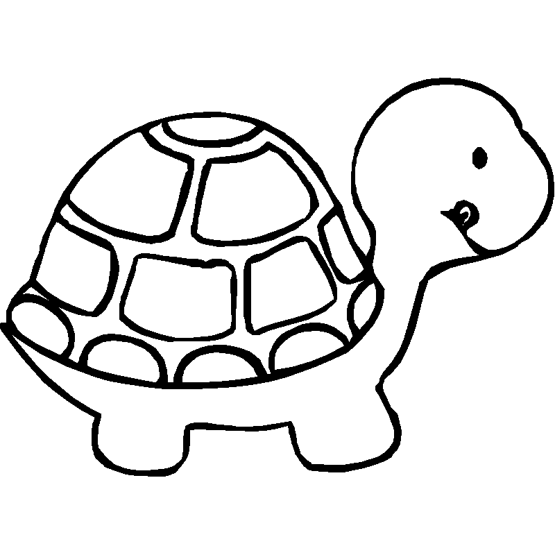 Sweet animal turtle coloring page | coloring pages