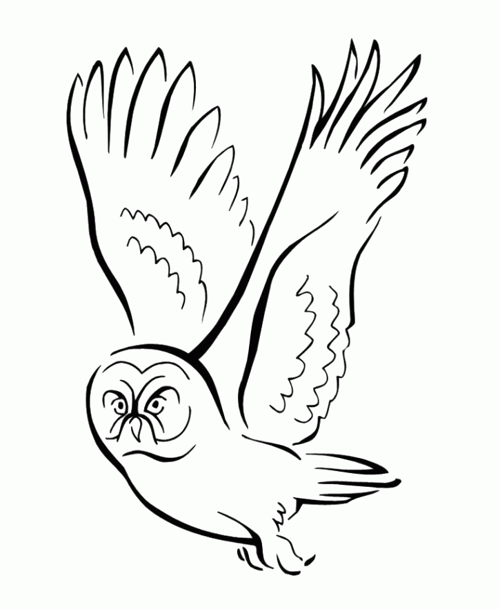 Owl Bird Fly Midnight Coloring Pages - Bird Coloring Pages 