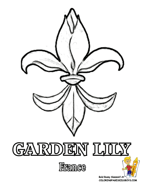 Coloring Flower Picture | Lily | Free | Flower Coloring Page 