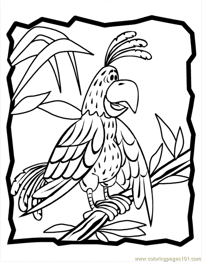 Perched Parakeet Online Coloring Page Car Pictures